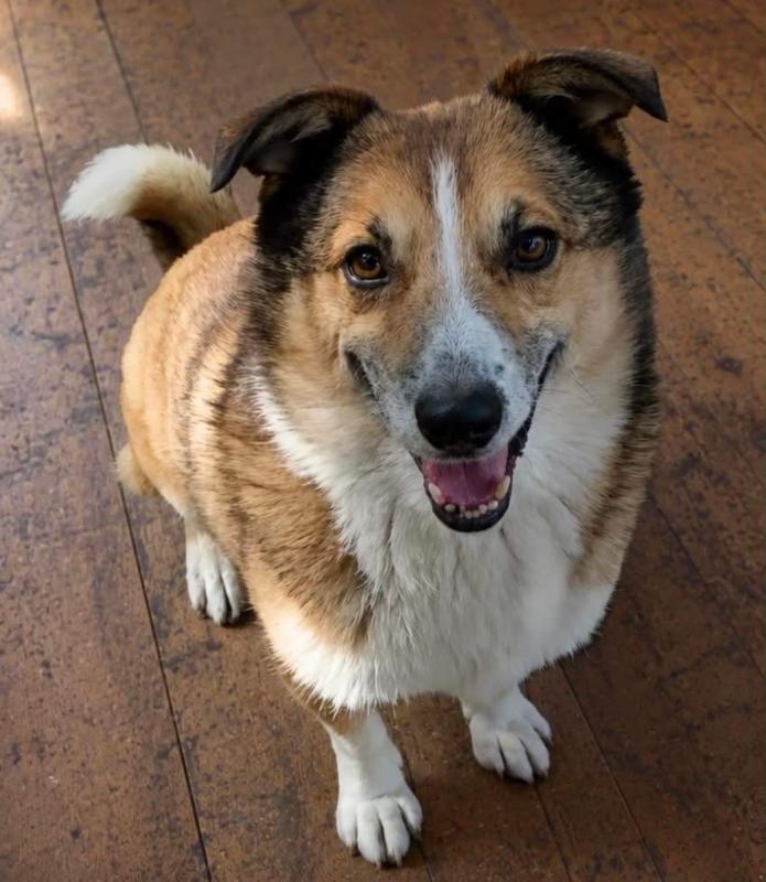 Ben