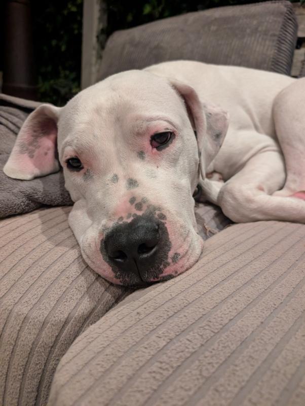 Max