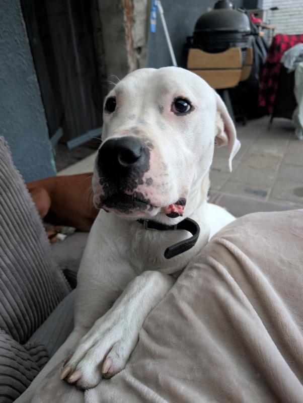 Max