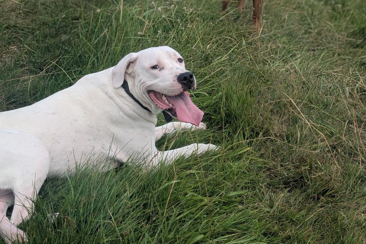Max