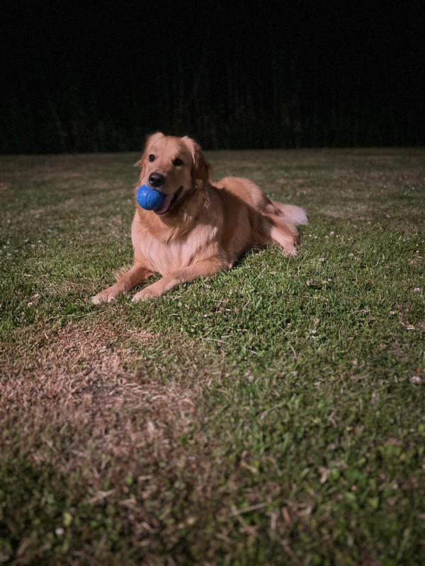 Rocky