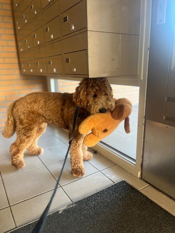 Otje