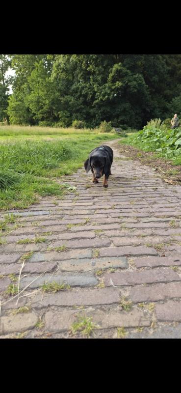 *SPOED* Mia