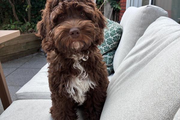 Coco