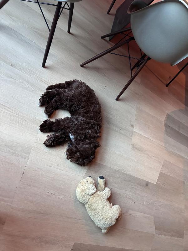 Coco