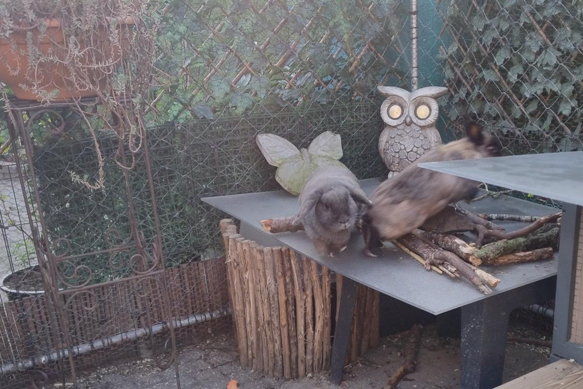 Casper & Dorien