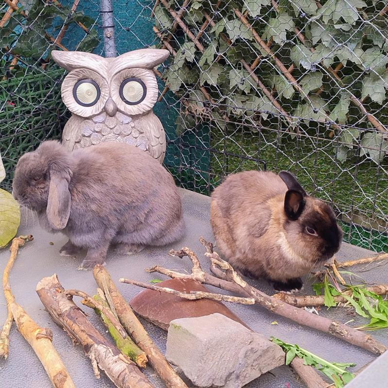 Casper & Dorien