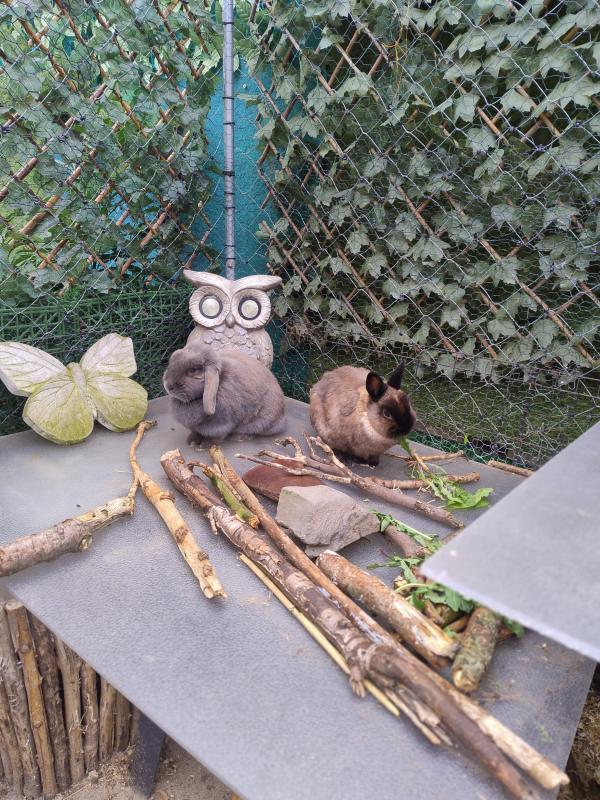 Casper & Dorien