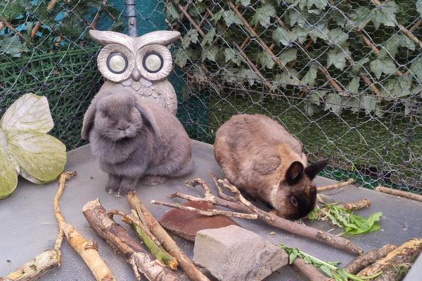 Casper & Dorien