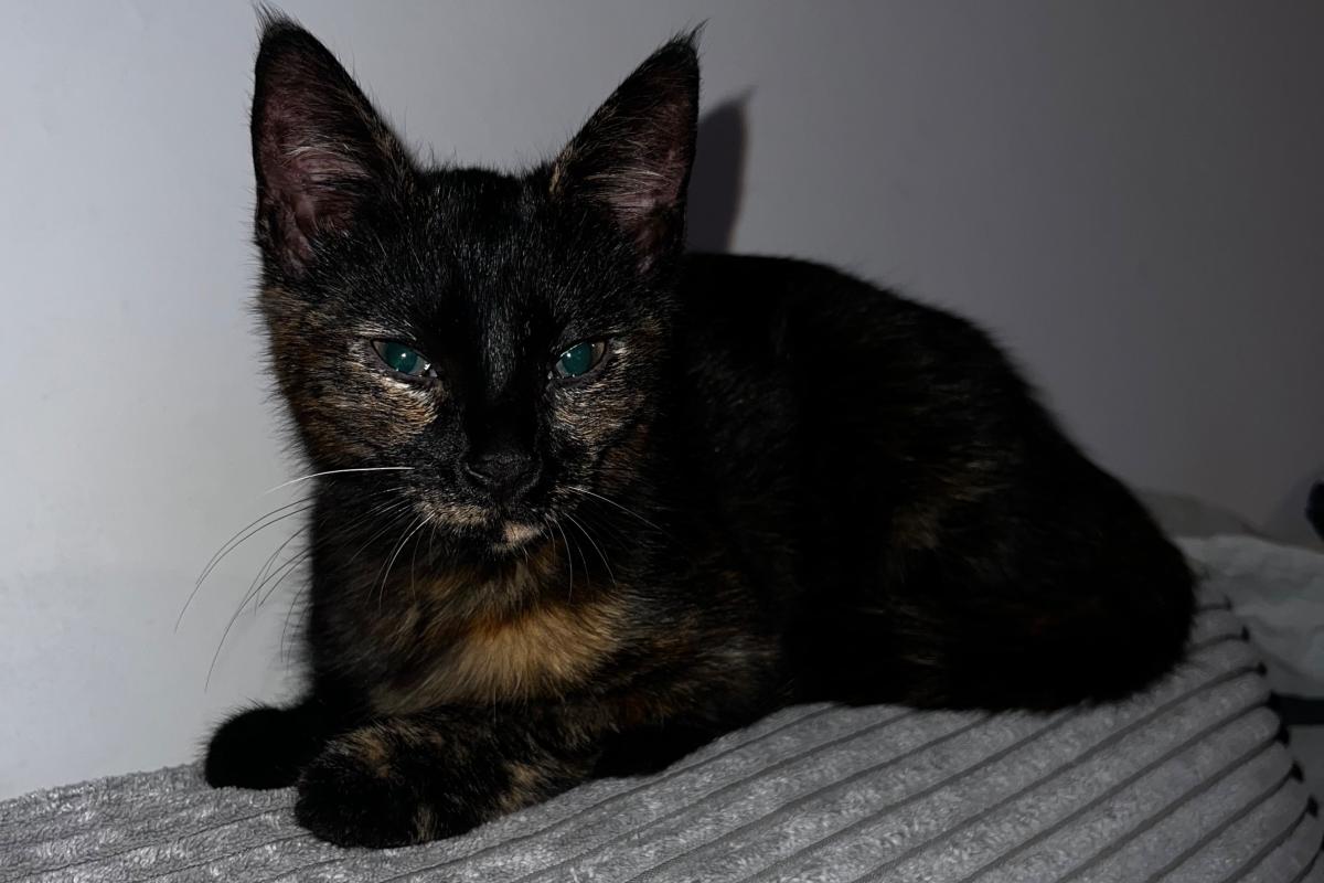 Luna