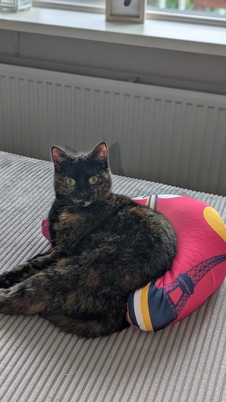 Luna