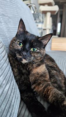 Luna