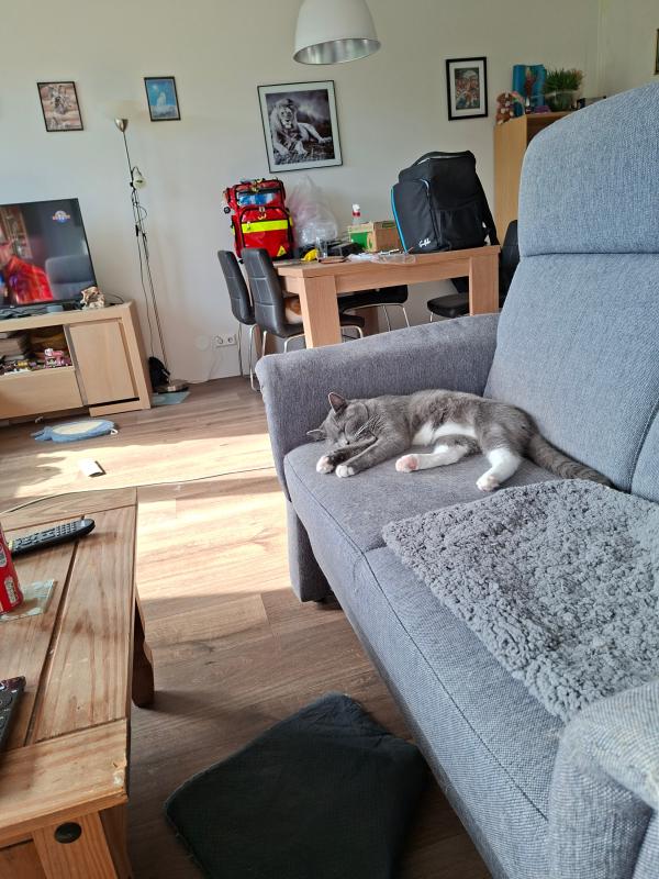Freddie