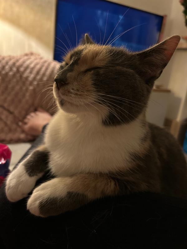Bobbie