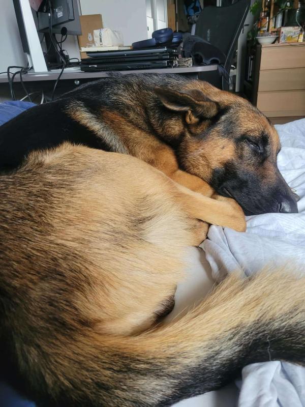 Loki