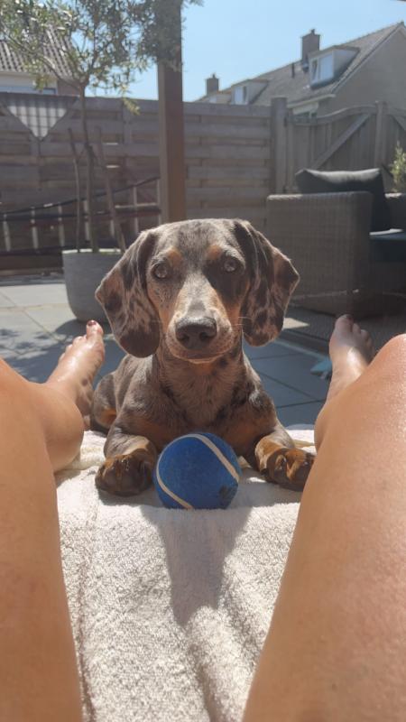 Oscar