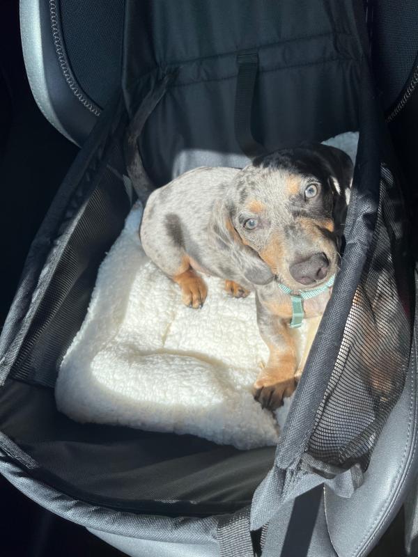 Oscar