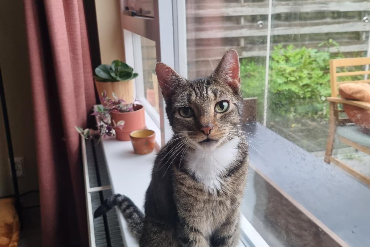 Coco