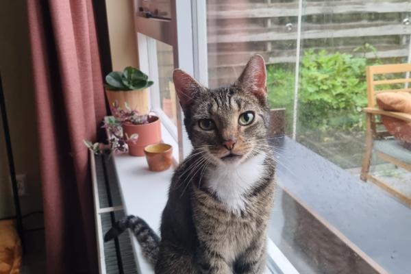 Coco