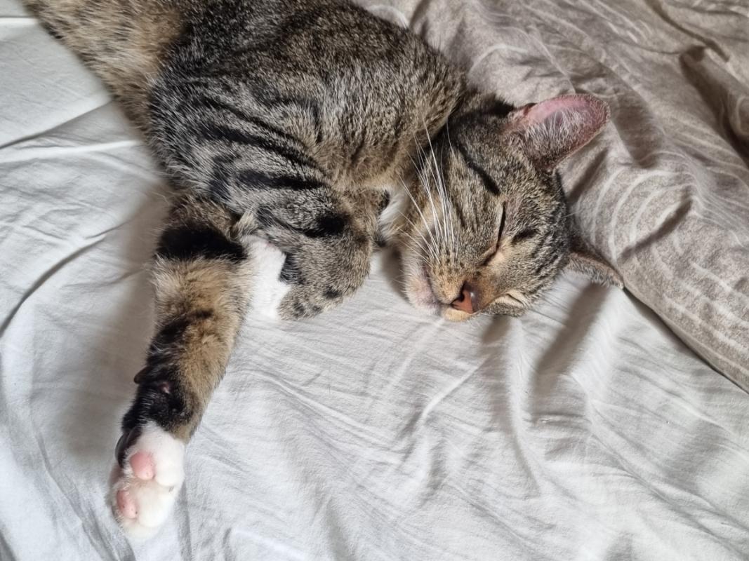 Coco