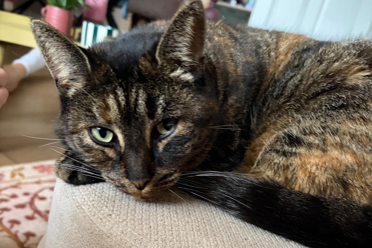 Kiki