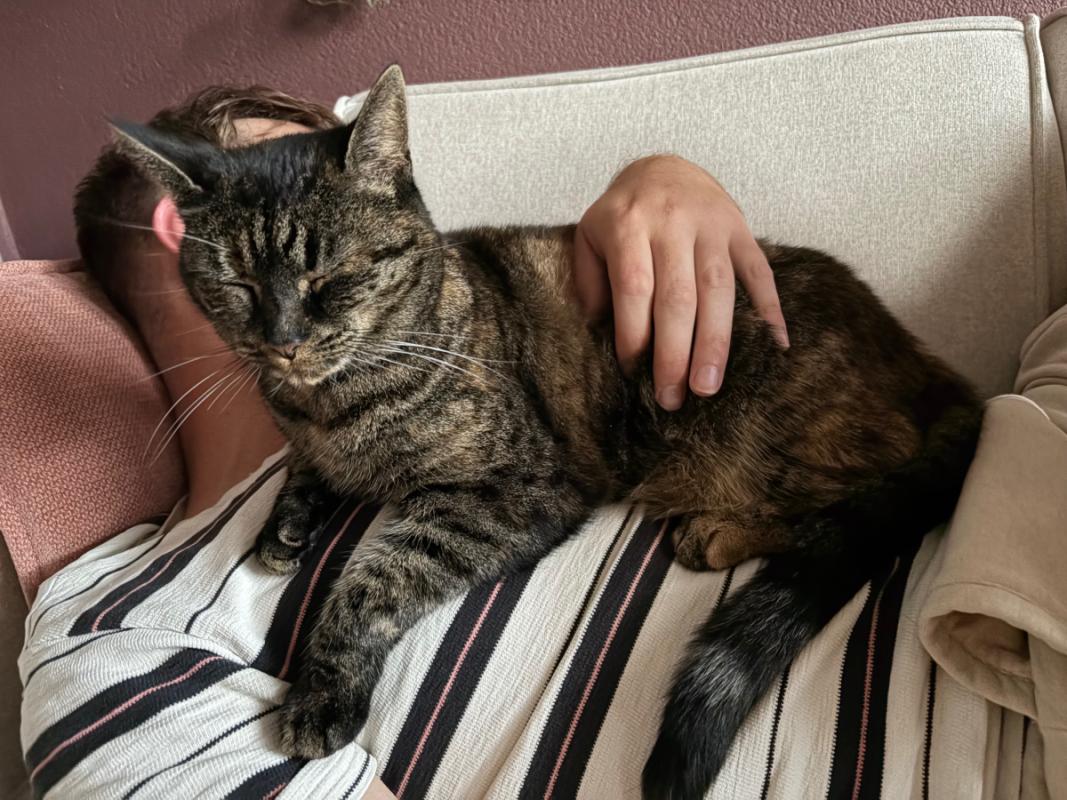 Kiki