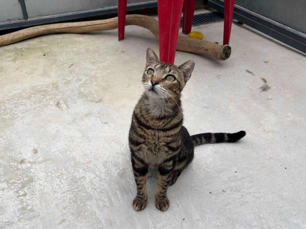 Bruce