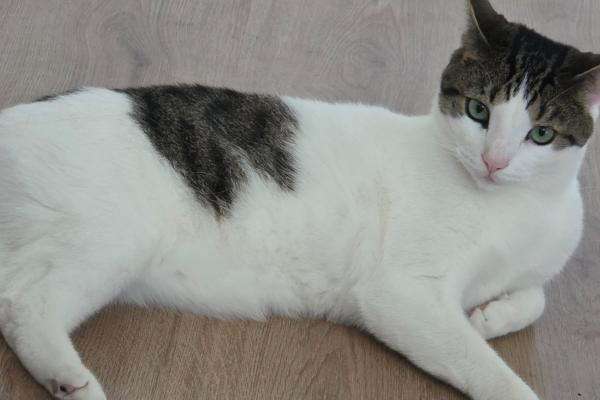Max