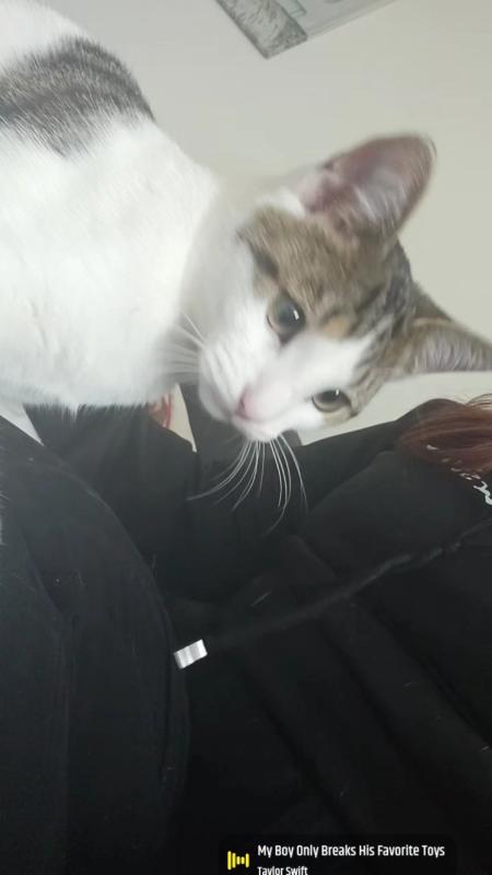 Max