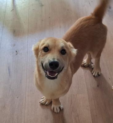 Max