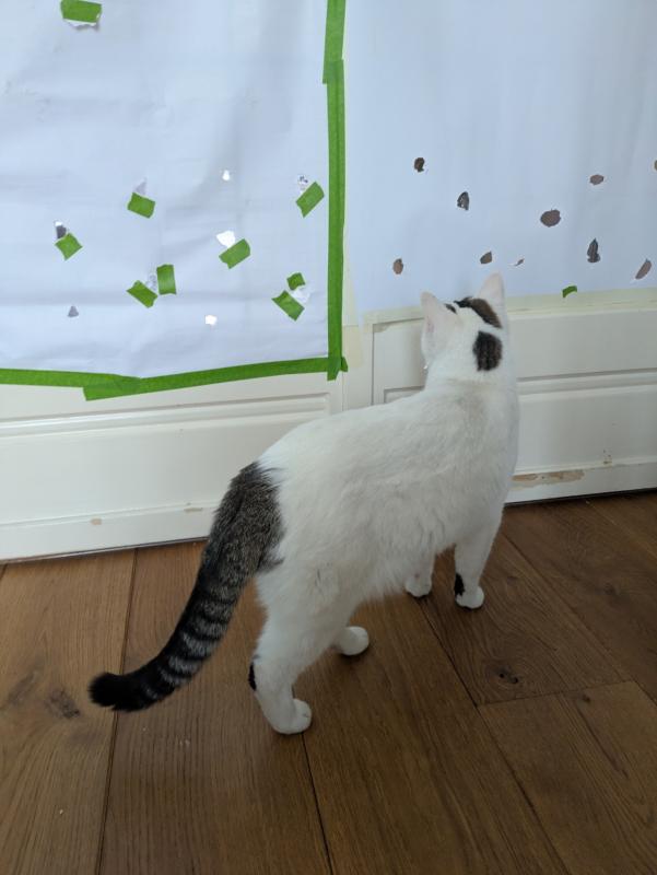 Pip