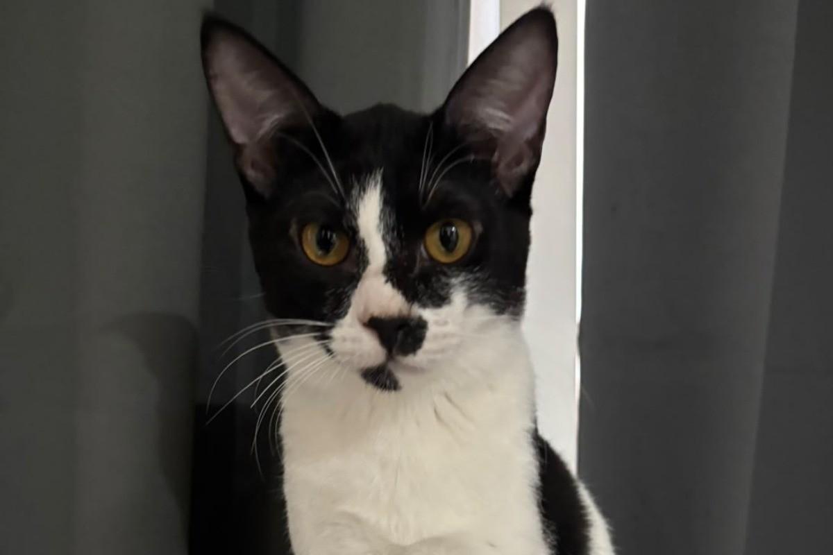 Tux
