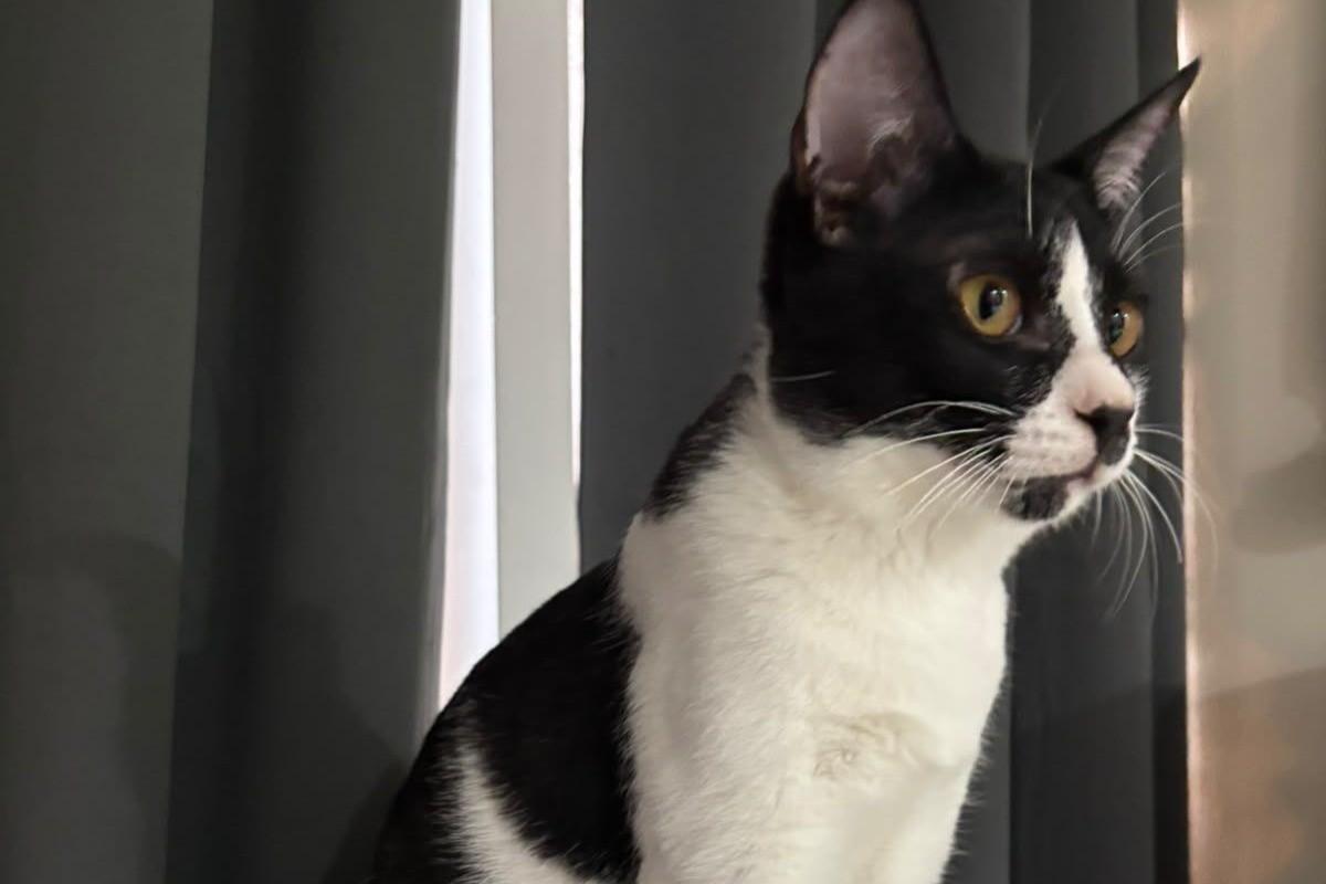 Tux
