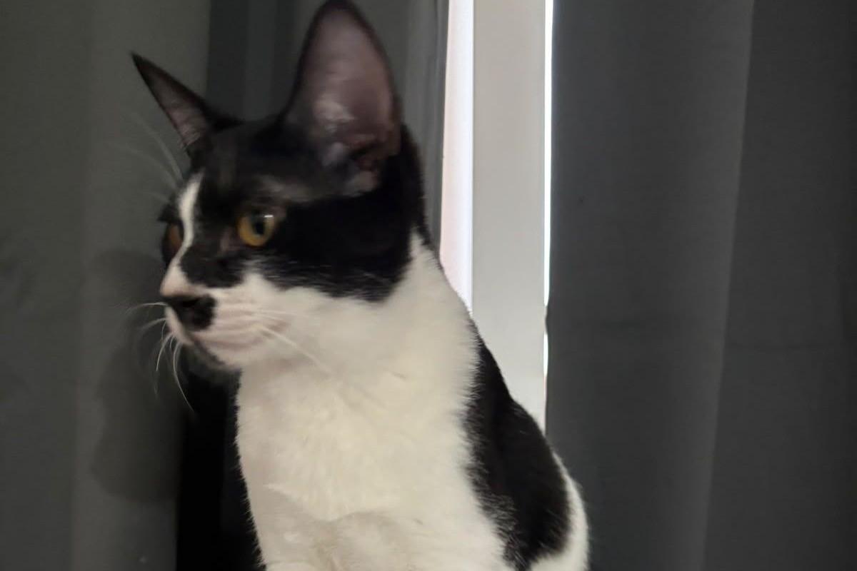 Tux