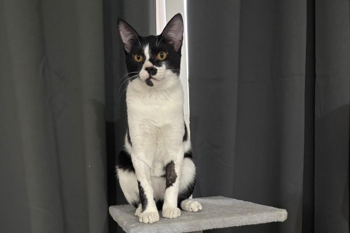 Tux