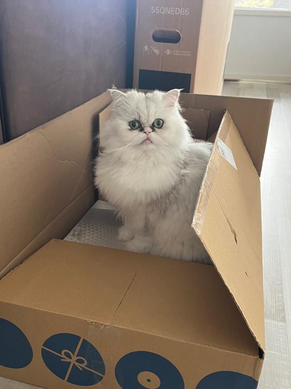 Mila