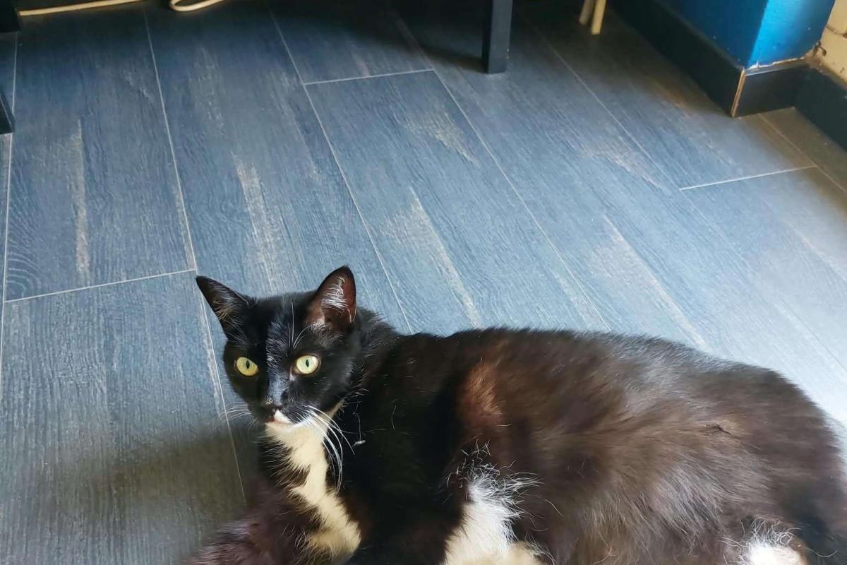 Mila