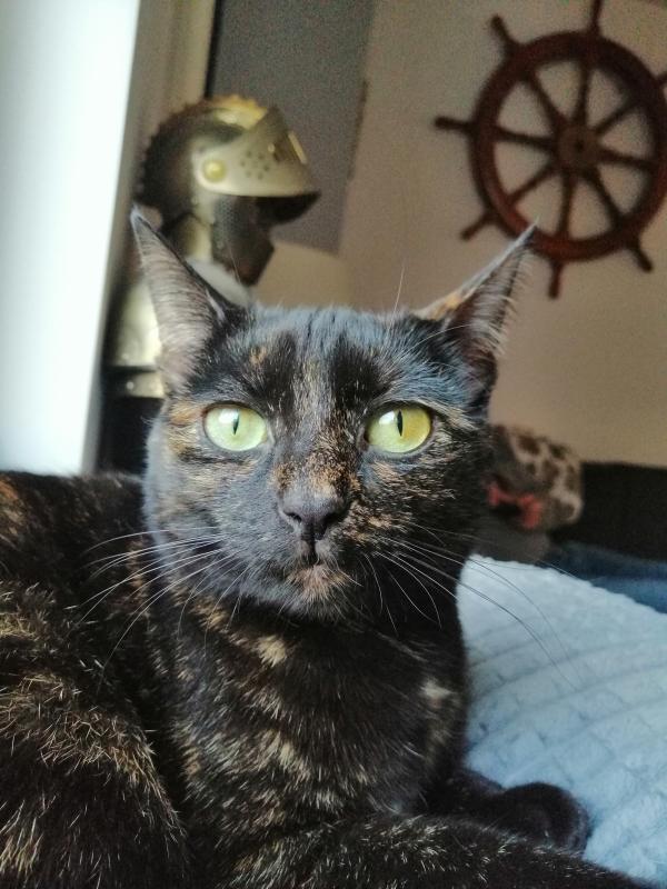 Urrie