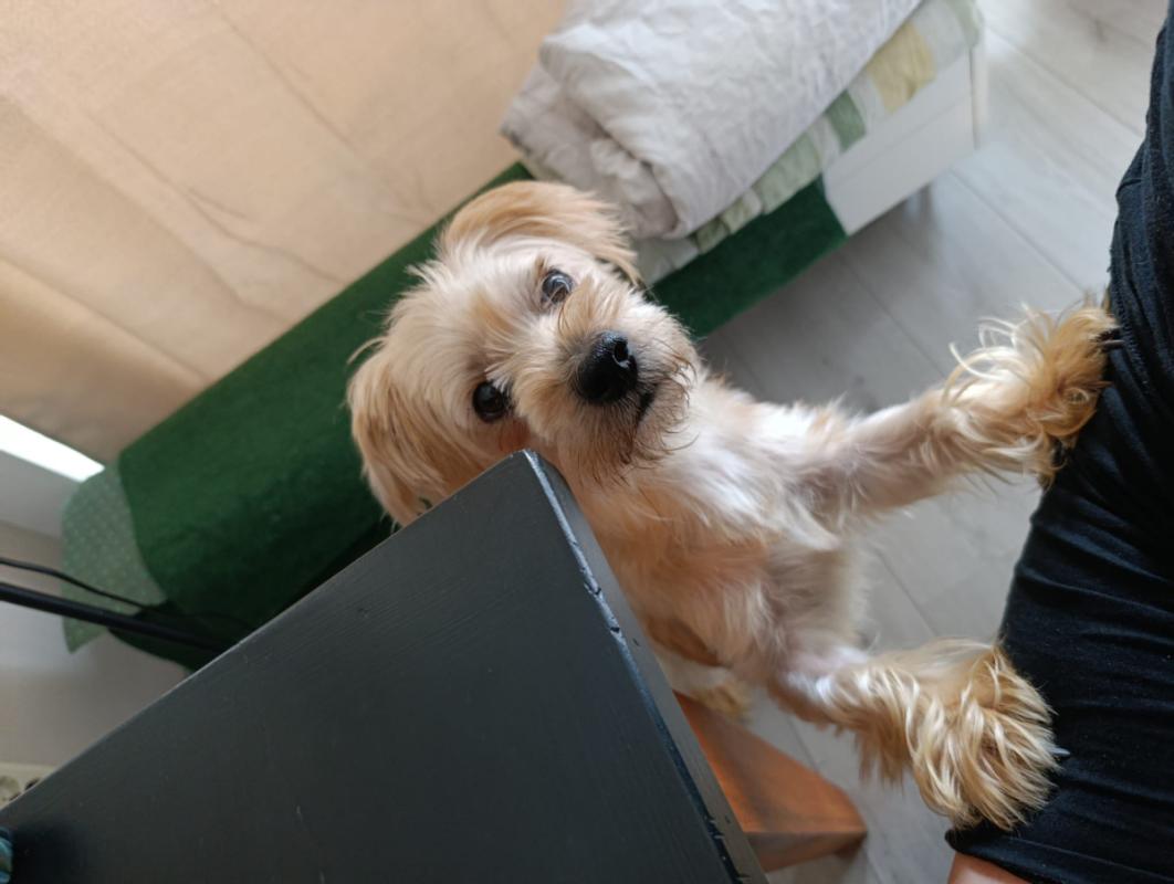 Flopy