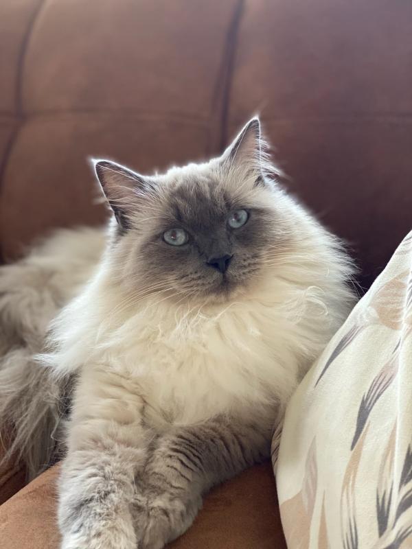 Jackson