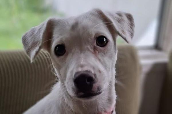 Zoe