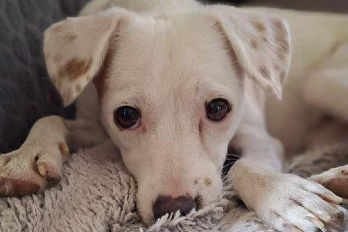Zoe
