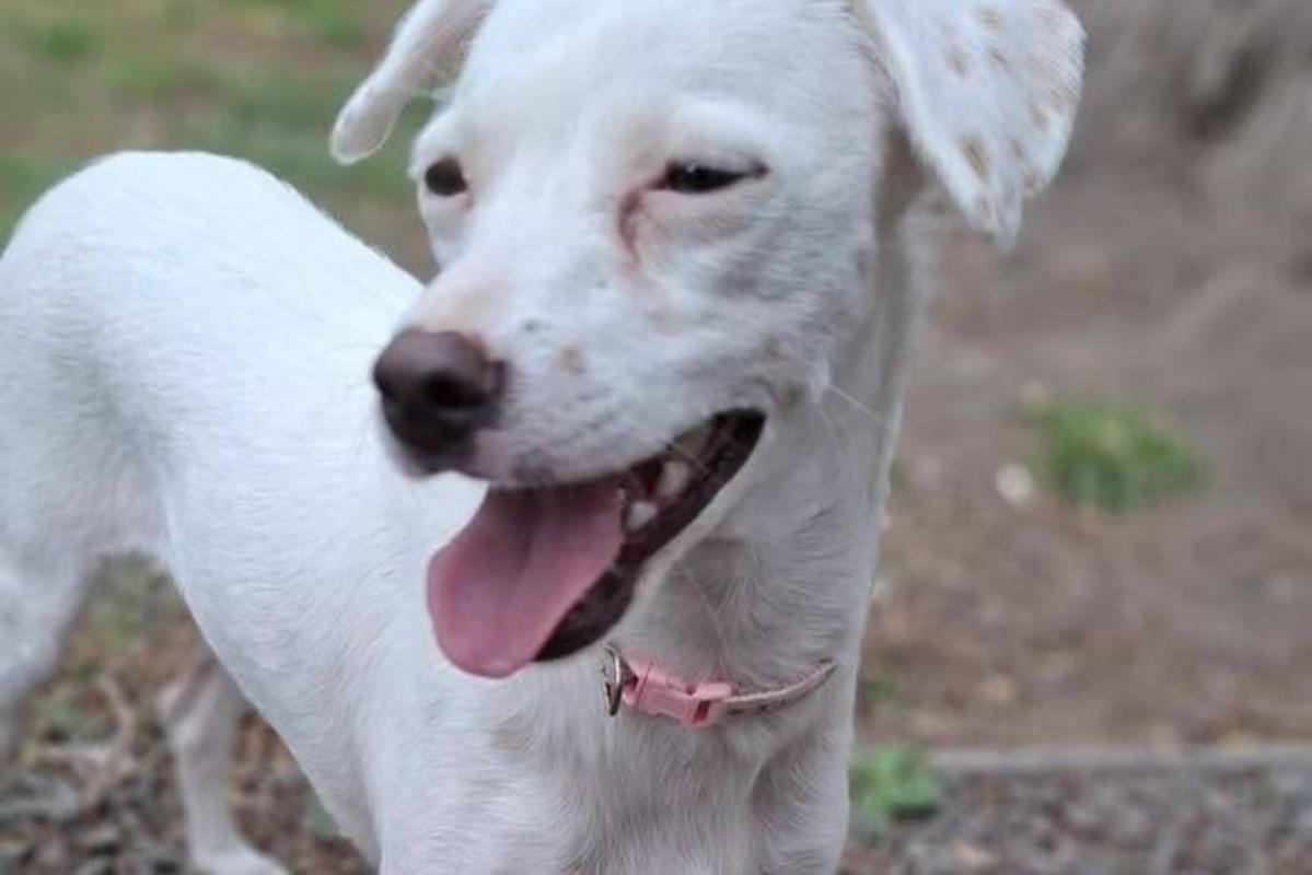 Zoe