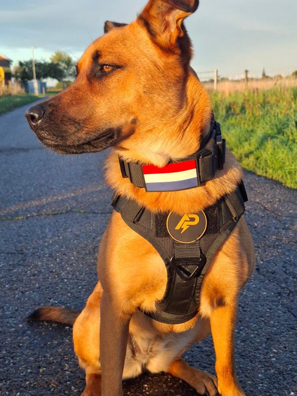 Nala