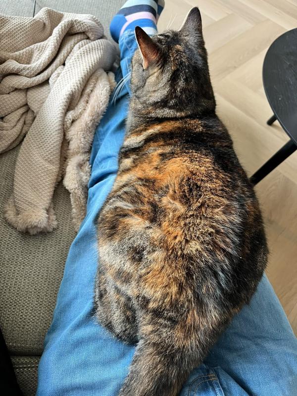 Floortje