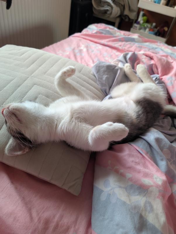 Mika