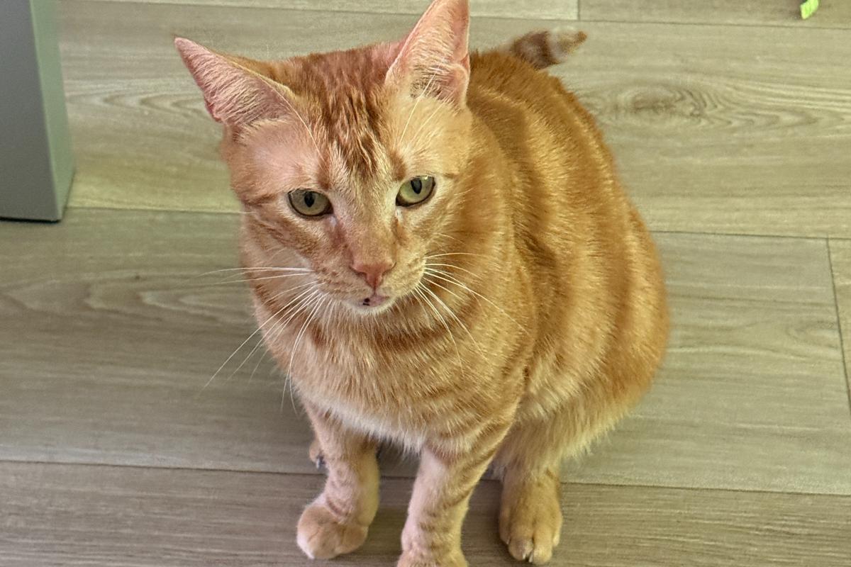 Luís