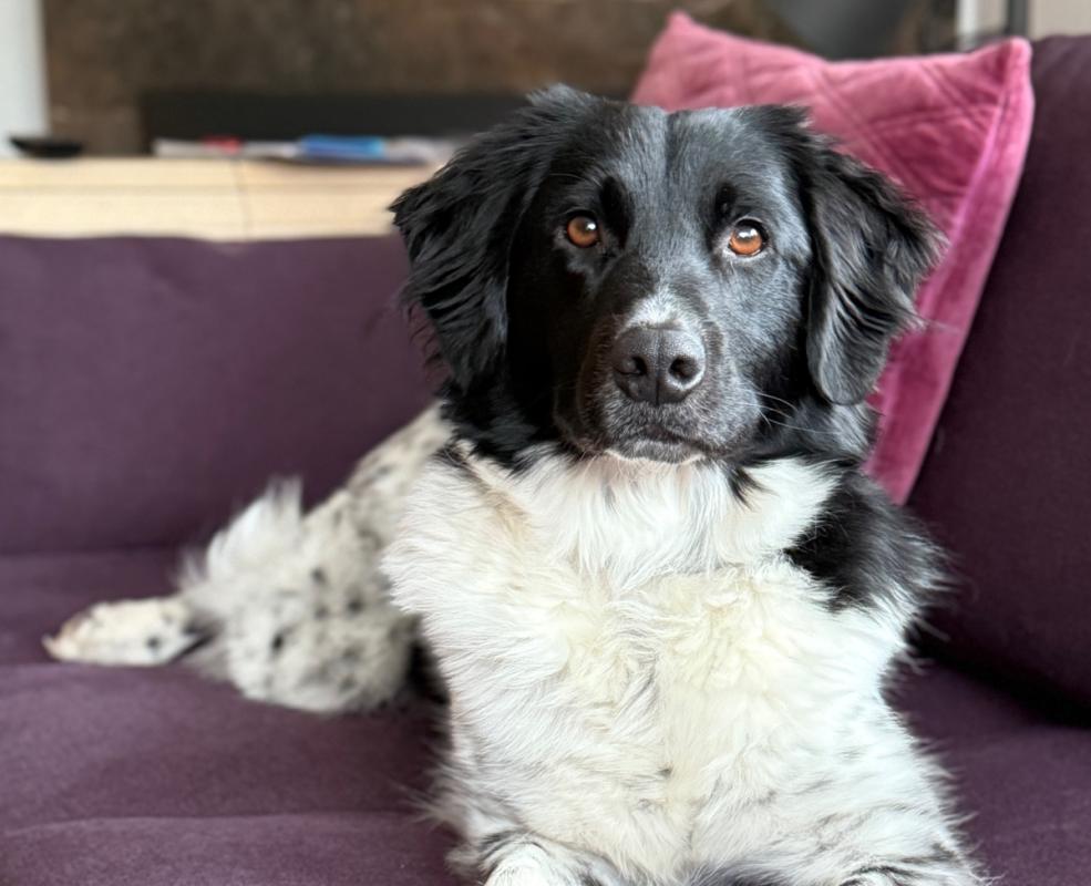 Bobbie
