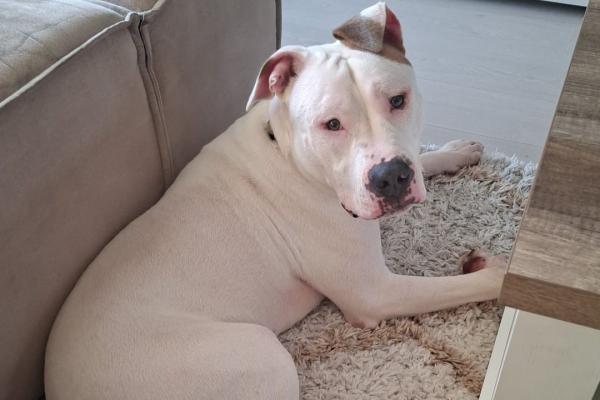 Jaxx