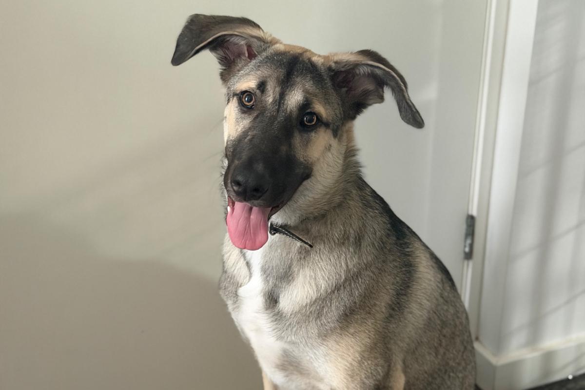 Milo